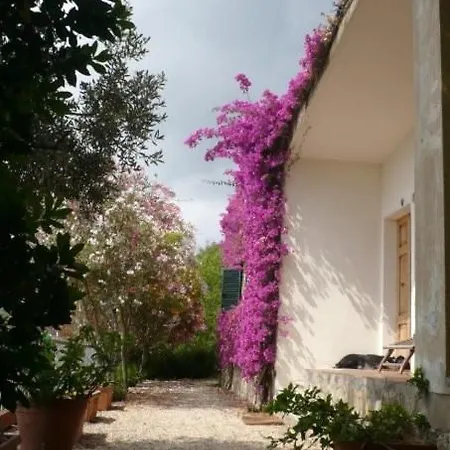 Villa In Elba Island, Incredibile Seaview *