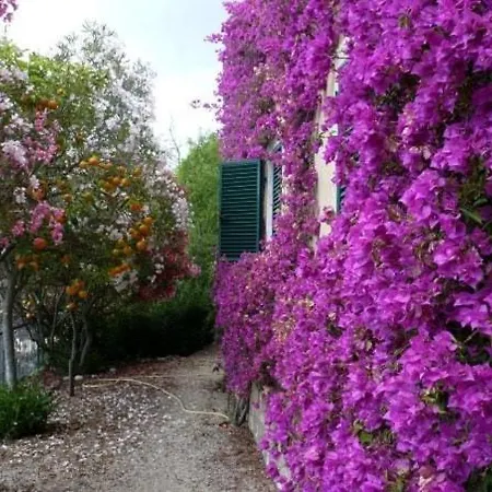 Vakantiehuis In Elba Island, Seaview 2 Kayaks Provided