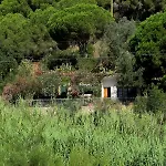 Ferienhaus In Elba Island, Seaview 2 Kayaks Provided Porto Azzurro